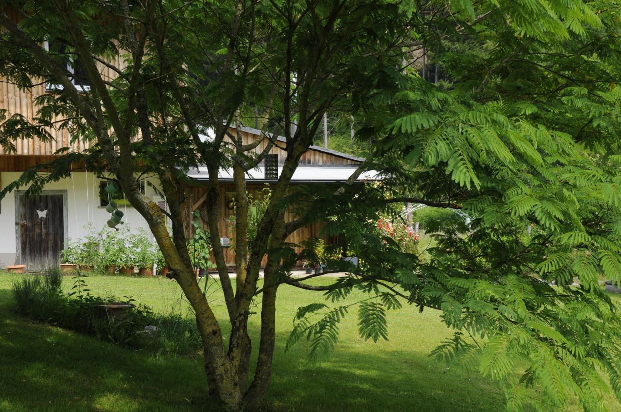 Das Stille Paradies Ledenitzen Exterior photo
