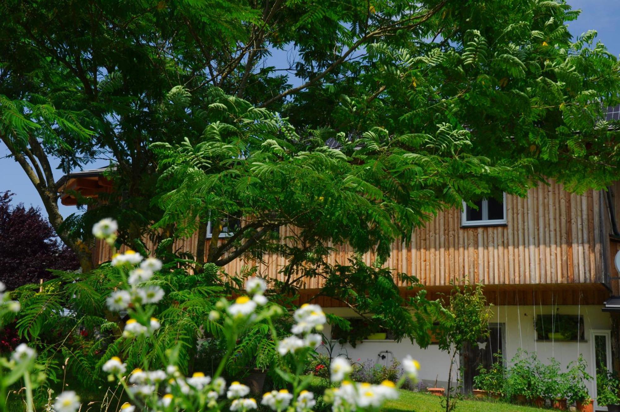 Das Stille Paradies Ledenitzen Exterior photo